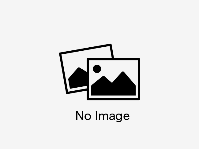 ゲストハウスねる山