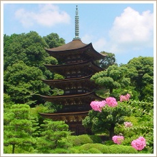 国宝 瑠璃光寺五重塔