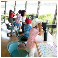 山口県立きらら浜自然観察公園