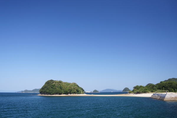 真宮島