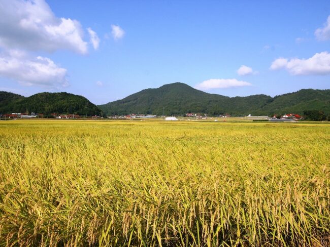 宇生賀盆地