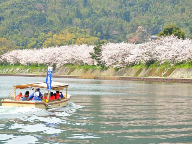 萩八景遊覧船