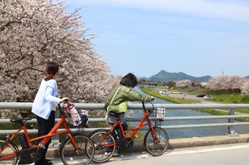 サイクリング