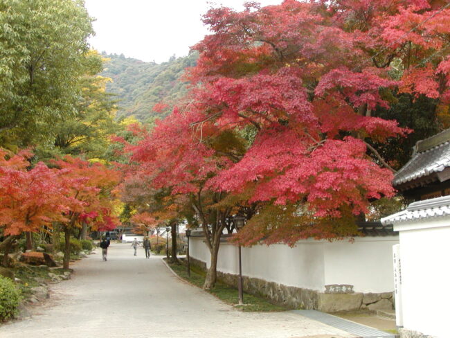 紅葉谷公園