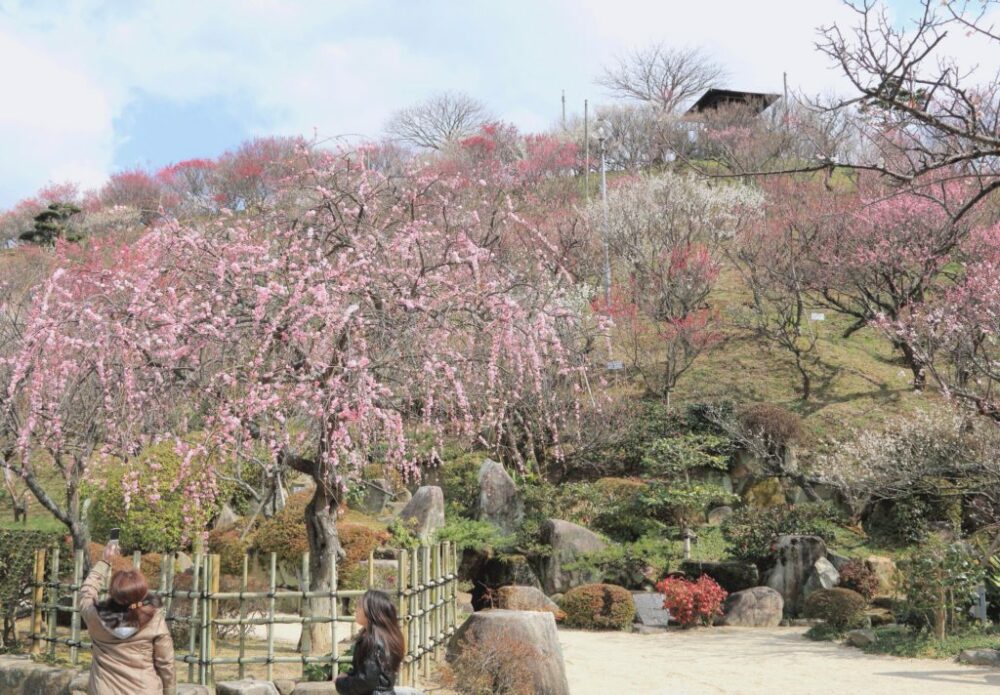冠山総合公園