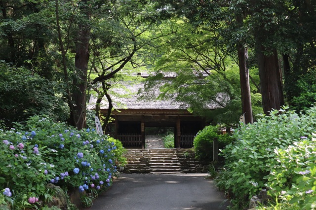 東大寺別院阿弥陀寺